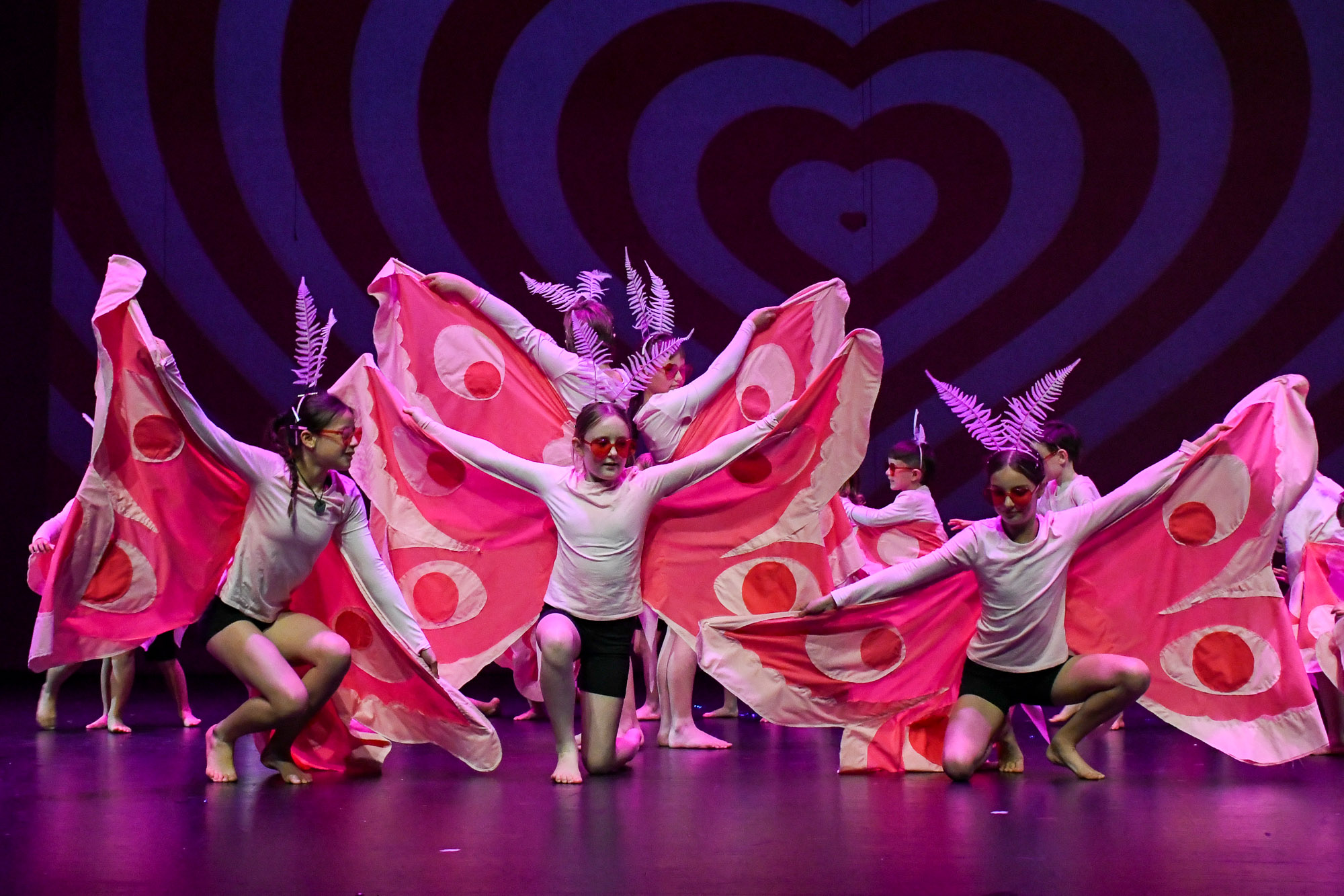 production-butterfly